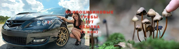молекула духа Магас