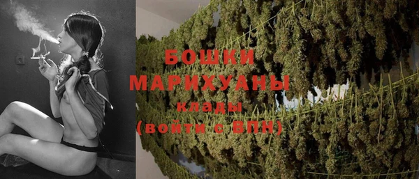 молекула духа Магас