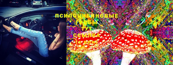 молекула духа Магас