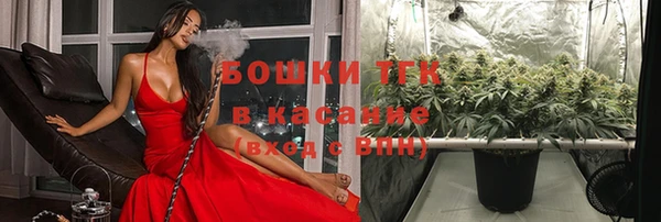молекула духа Магас